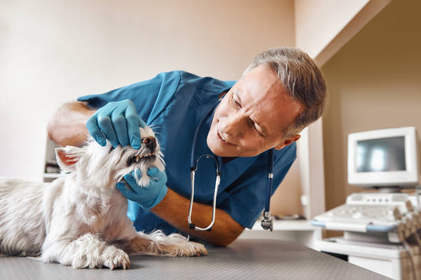Best Same-Day Emergency Dentist in Gettysburg, SD