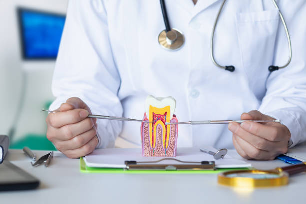 Best Pediatric Emergency Dentist in Gettysburg, SD